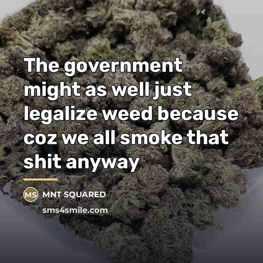 “The government might as well just legalize weed because coz…” quote by MNT Squared