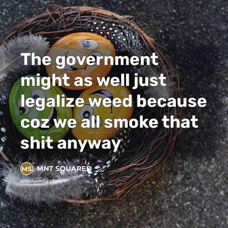 “The government might as well just legalize weed because coz we all smoke that shit anyway” quote by MNT Squared