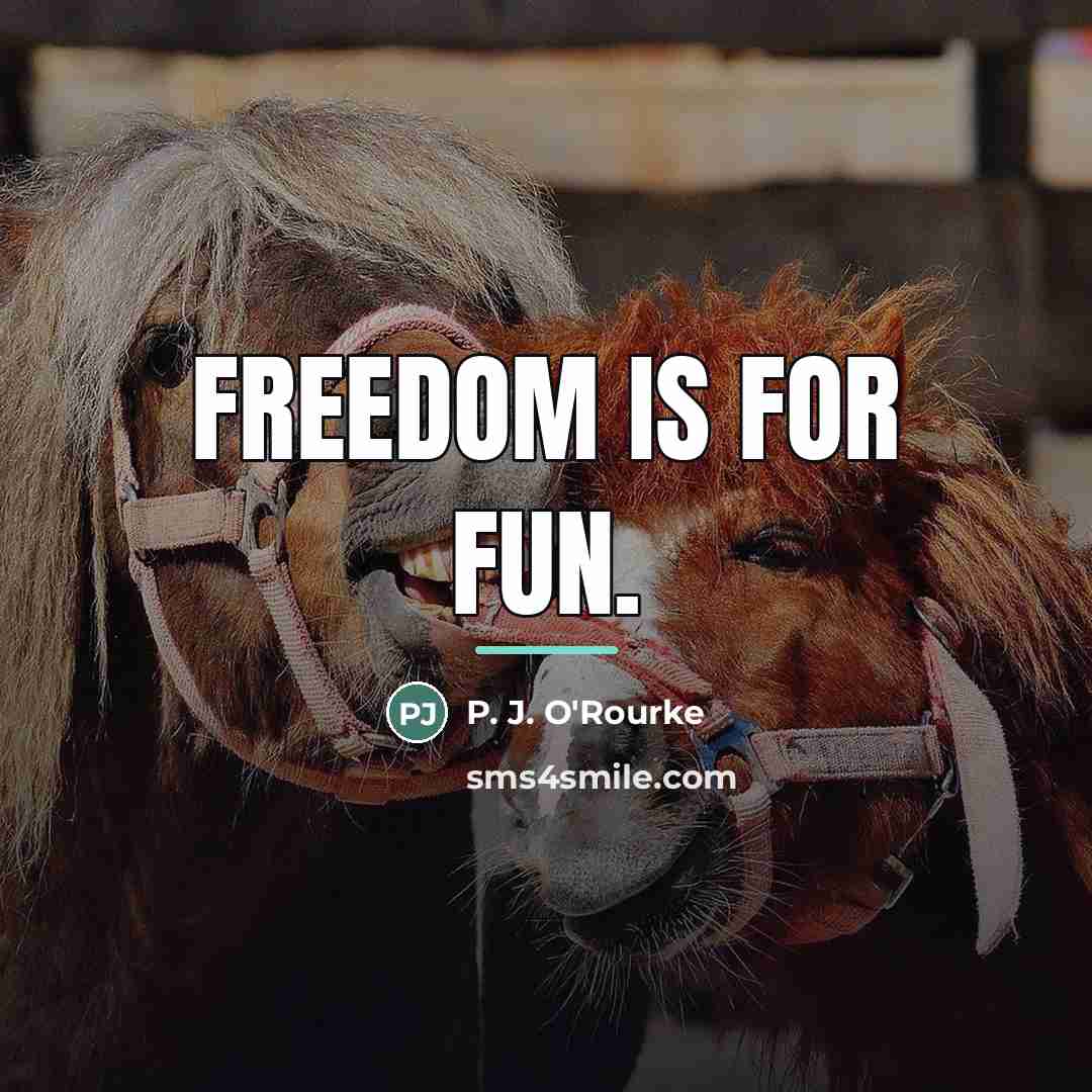 “Freedom is for fun.…” quote by P. J. O'Rourke