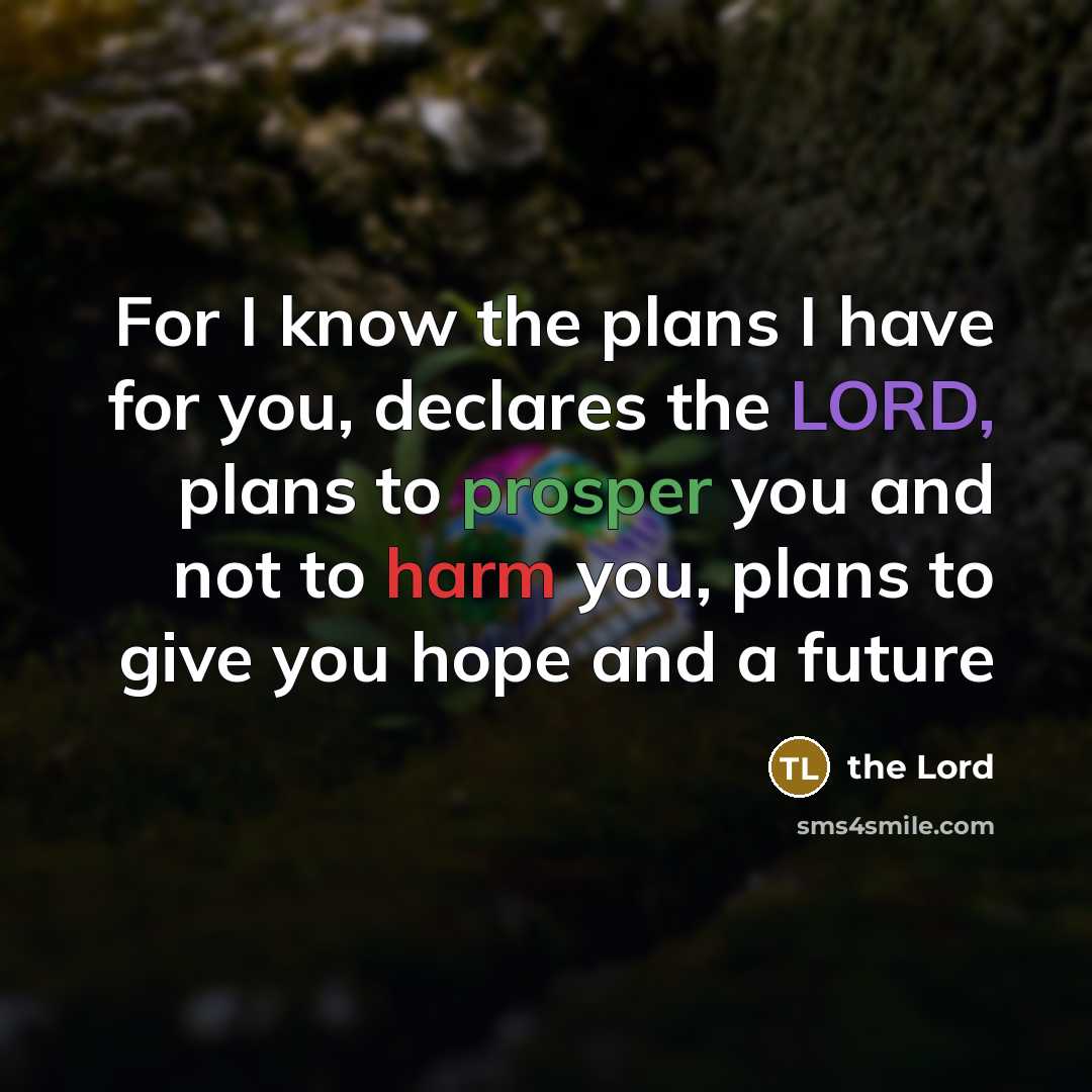 “For I know the plans I have for you, declares…” quote by The Lord