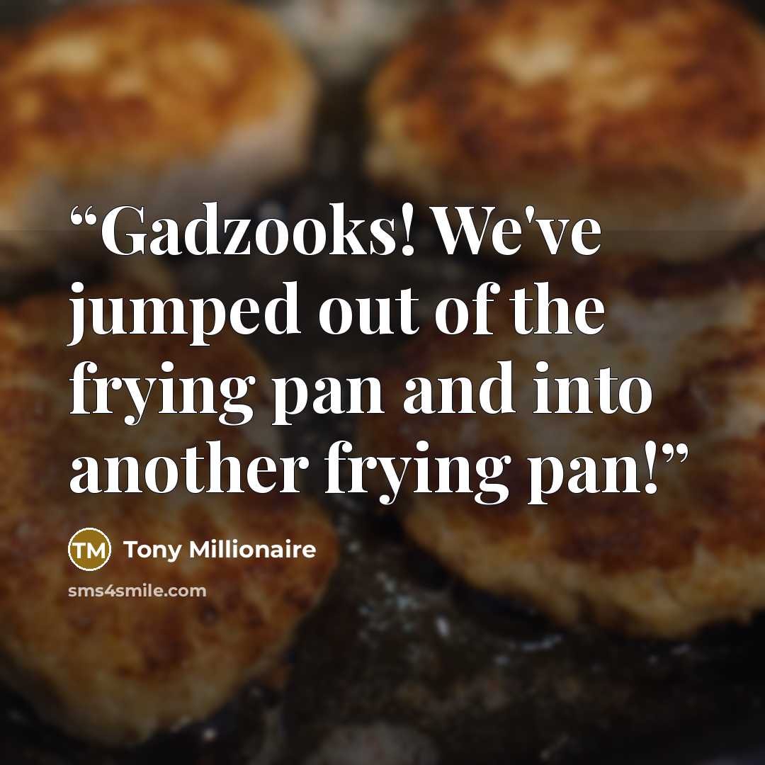 “Gadzooks! We've jumped out of the frying pan and into another frying pan!” quote by Tony Millionaire
