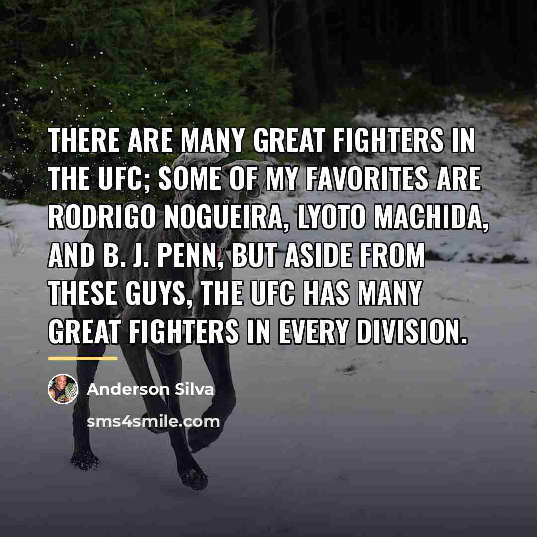 “There are many great fighters in the UFC; some of…” quote by Anderson Silva