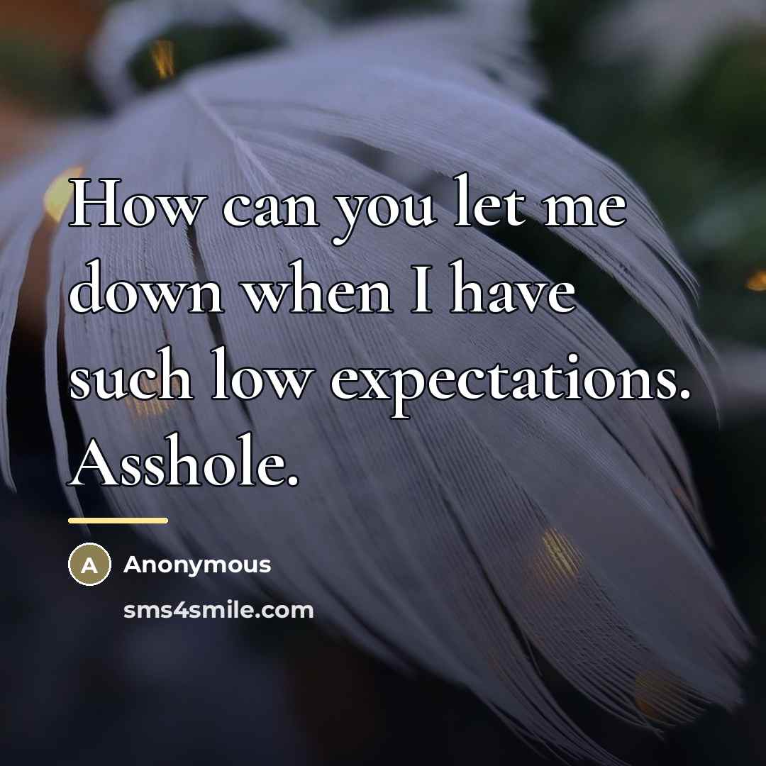 “How can you let me down when I have such…” quote by Anonymous