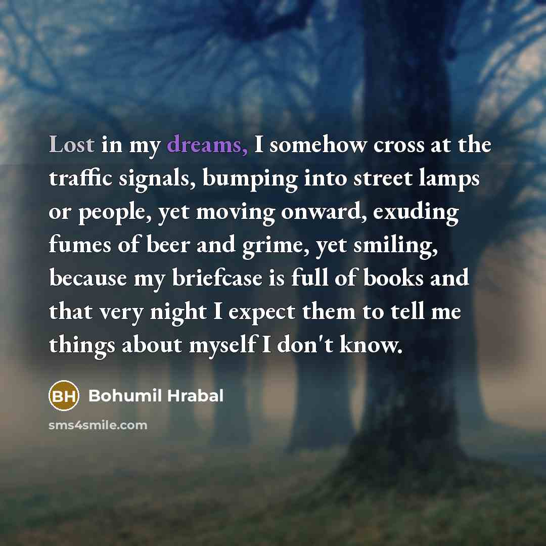 “Lost in my dreams, I somehow cross at the traffic…” quote by Bohumil Hrabal