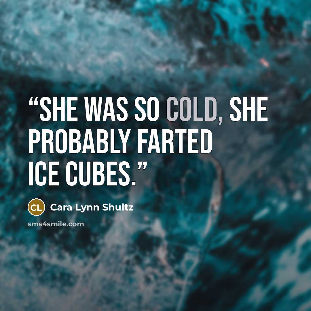 “She was so cold, she probably farted ice cubes.” quote by Cara Lynn Shultz