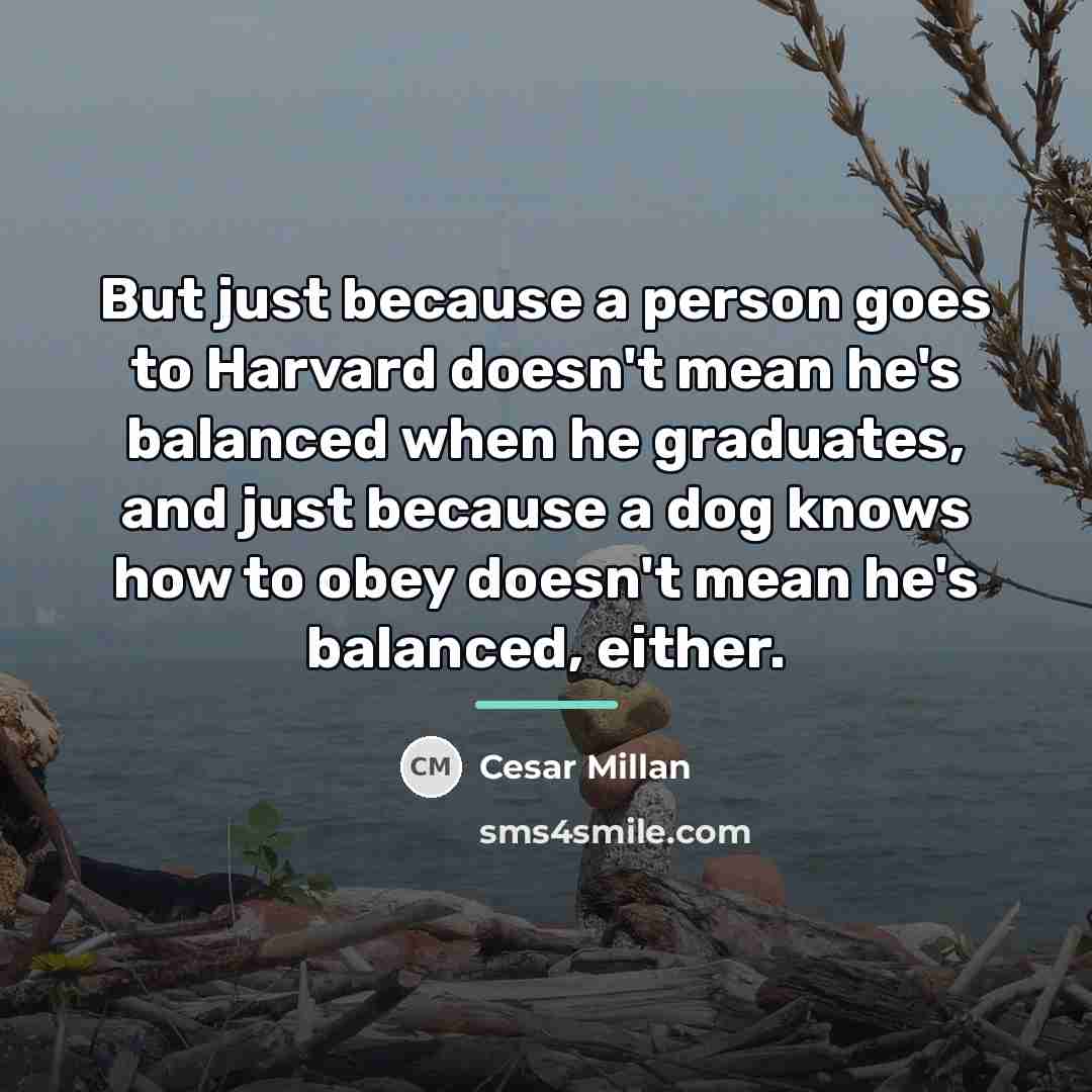 “But just because a person goes to Harvard doesn't mean…” quote by Cesar Millan