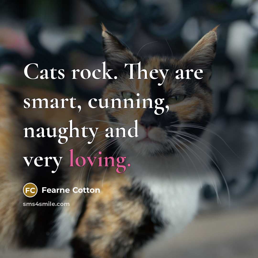 “Cats rock. They are smart, cunning, naughty and very loving.…” quote by Fearne Cotton