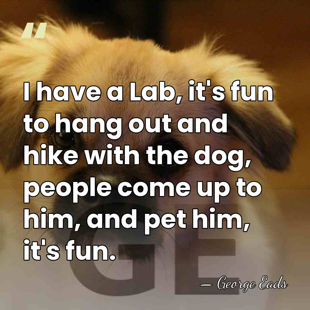 I have a Lab, it's fun to hang out and hike with&hellip; - George Eads