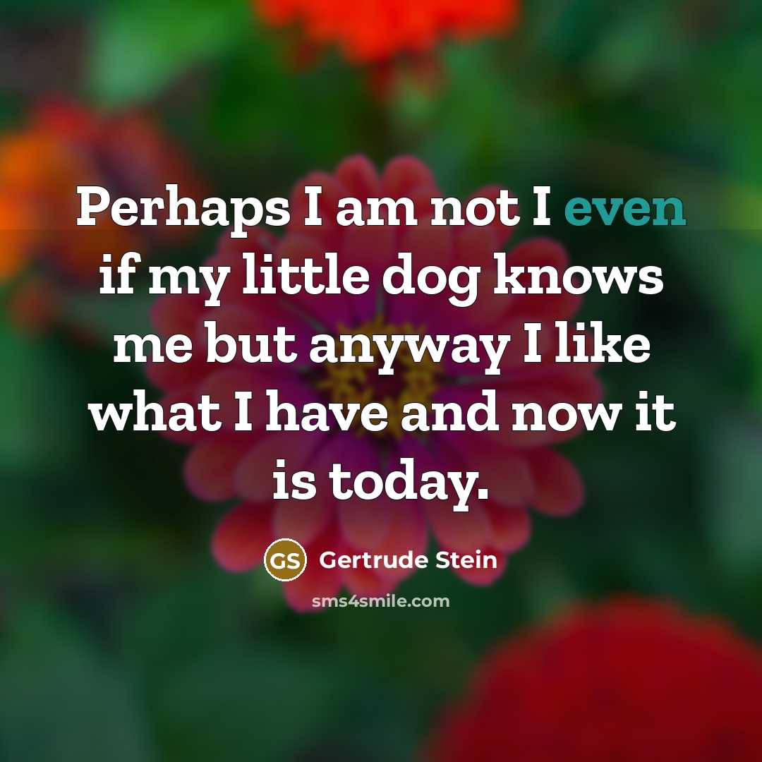 “Perhaps I am not I even if my little dog…” quote by Gertrude Stein