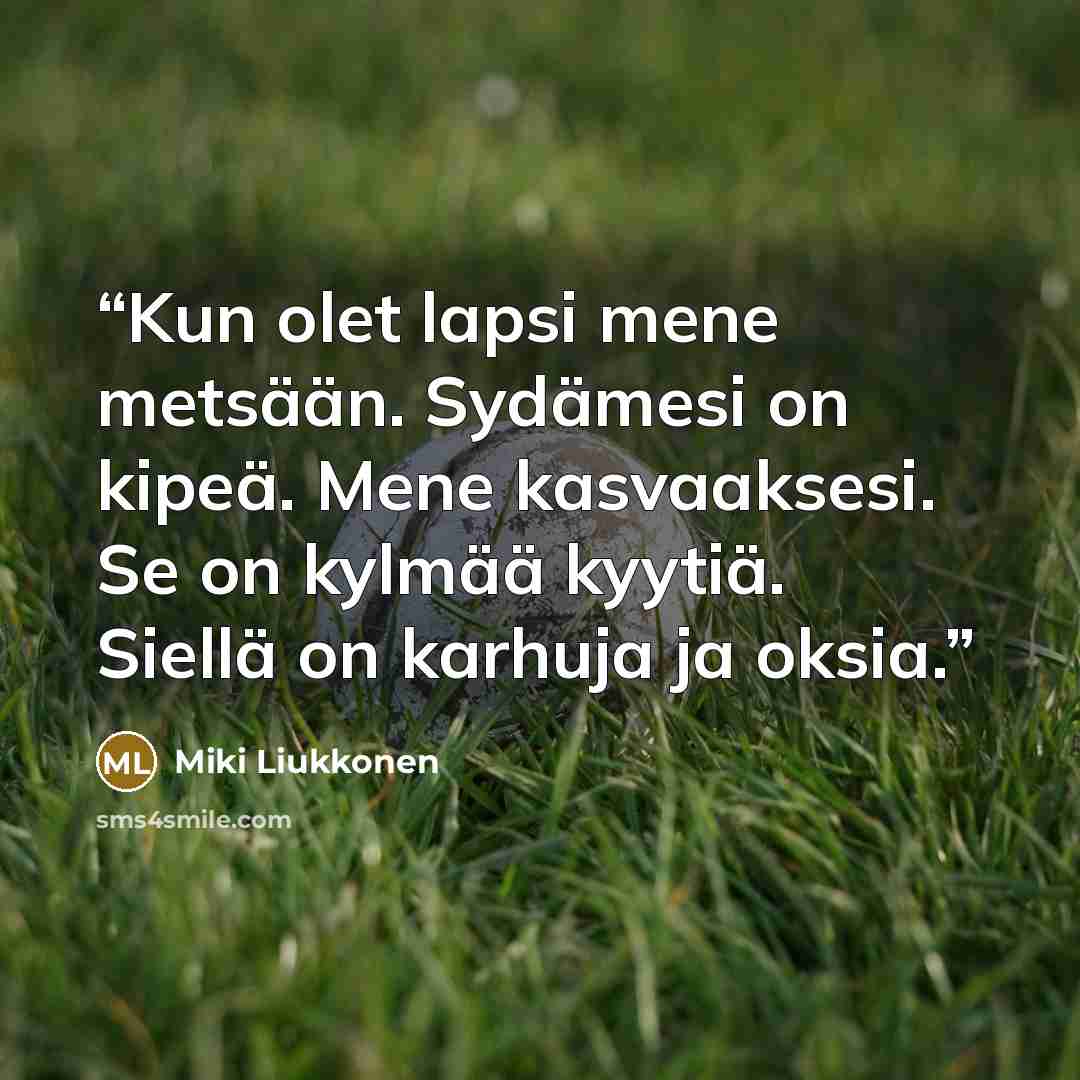 “Kun olet lapsi mene metsään. Sydämesi on kipeä. Mene kasvaaksesi. Se on kylmää kyytiä. Siellä on karhuja ja oksia.” quote by Miki Liukkonen