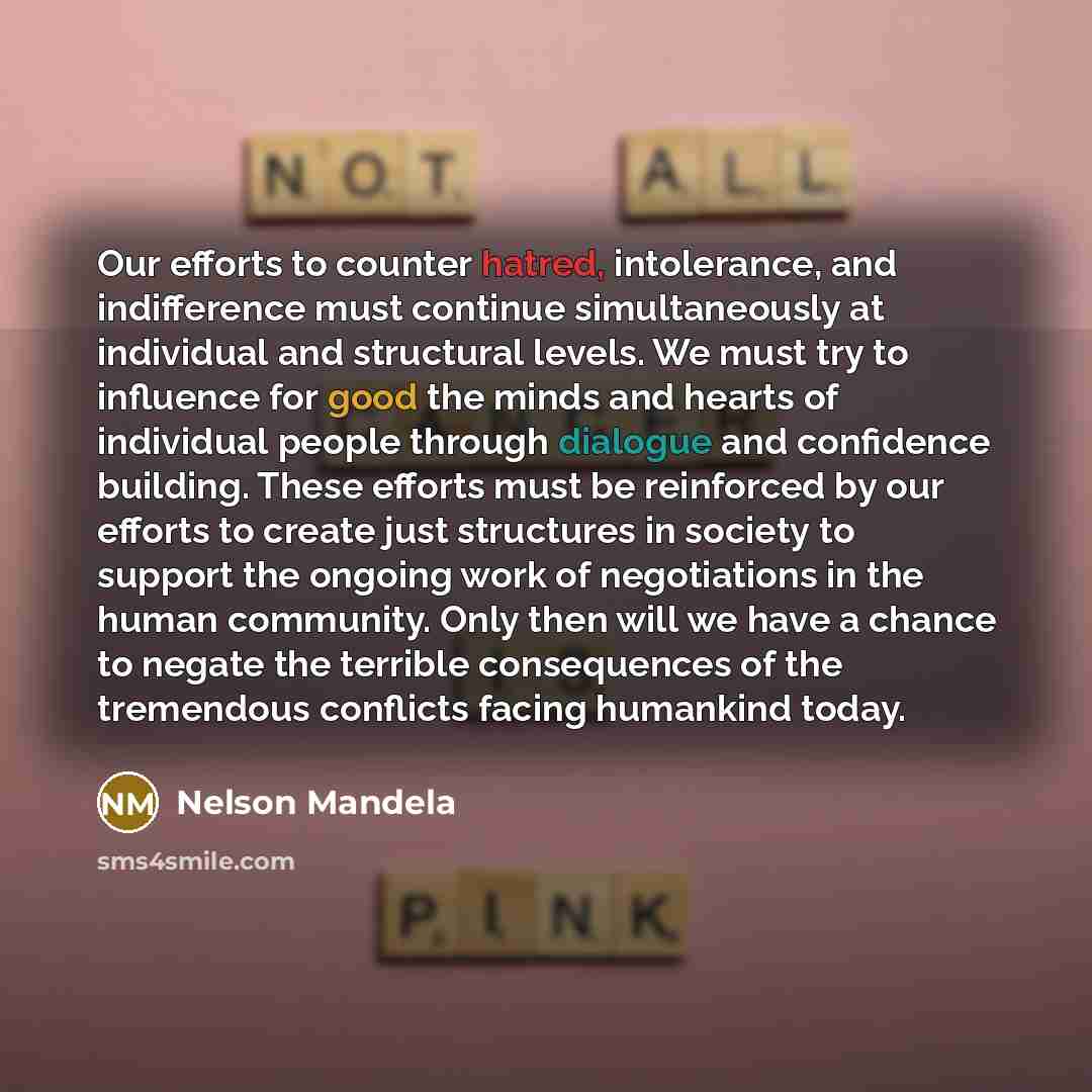“Our efforts to counter hatred, intolerance, and indifference must continue…” quote by Nelson Mandela