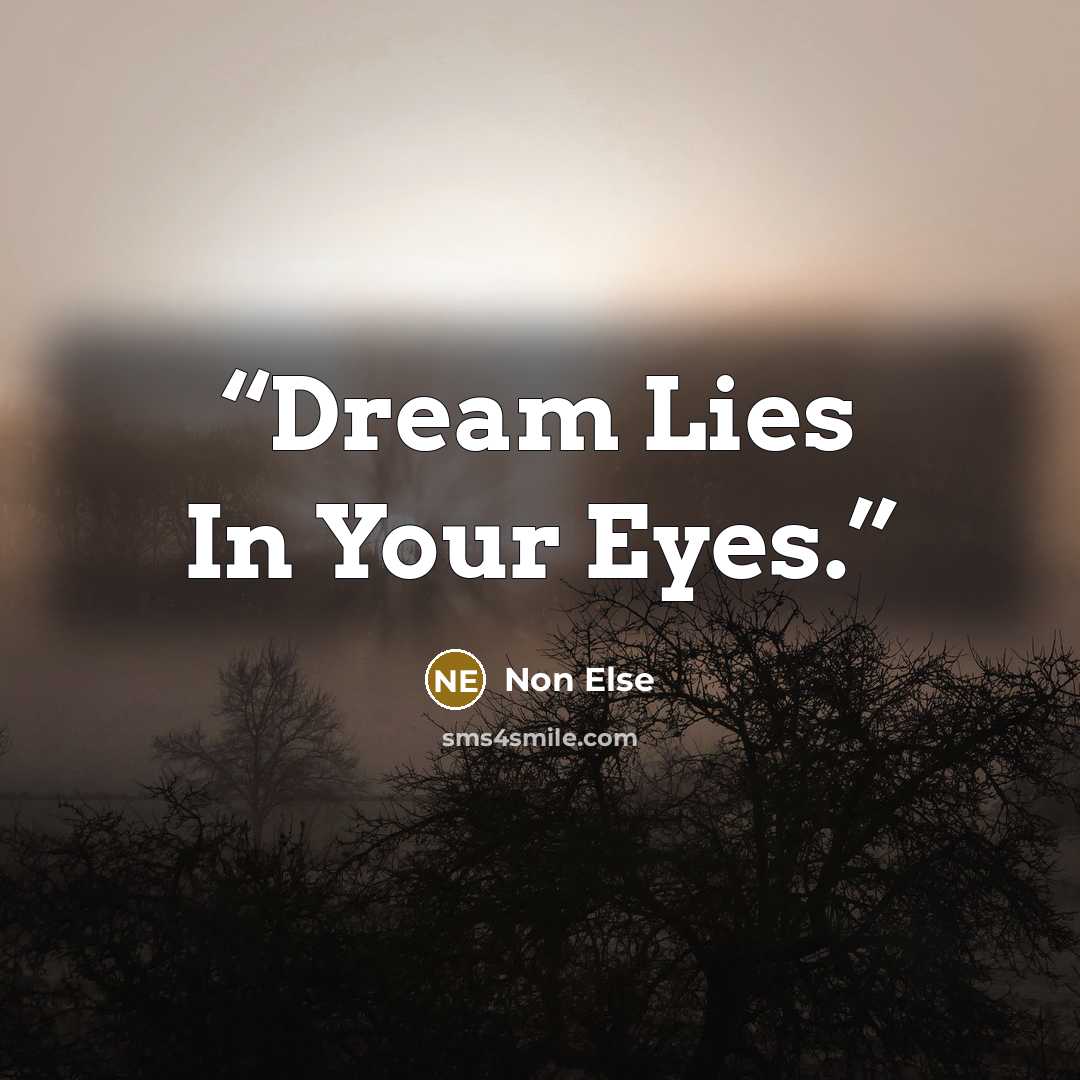 “Dream Lies In Your Eyes.” quote by Non Else