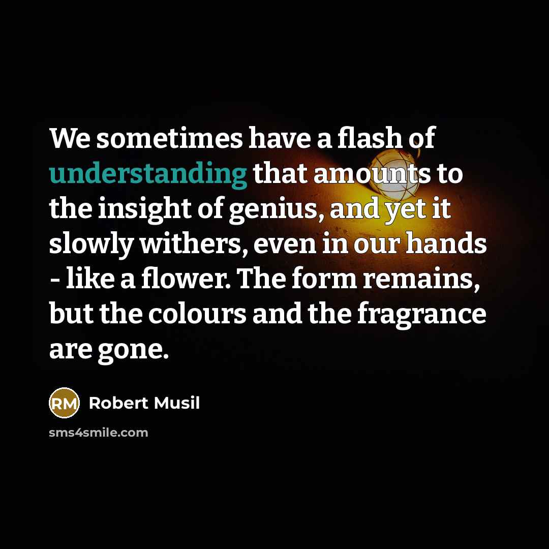 “We sometimes have a flash of understanding that amounts to…” quote by Robert Musil