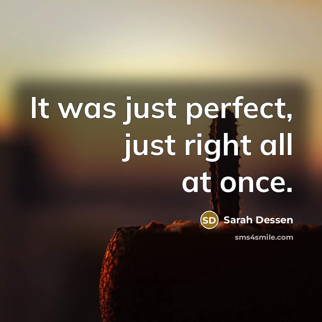 “It was just perfect, just right all at once.…” quote by Sarah Dessen