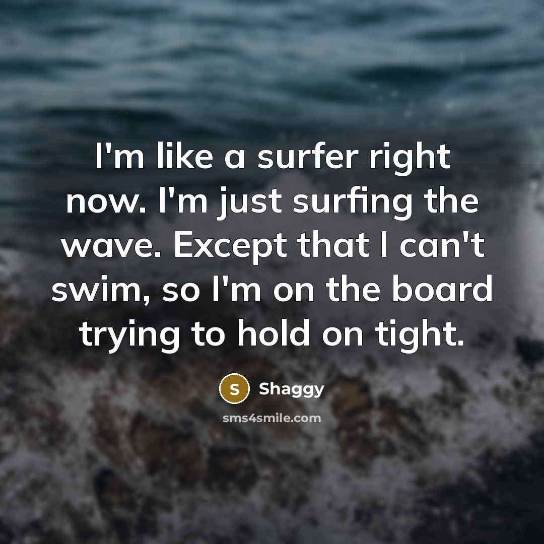 “I'm like a surfer right now. I'm just surfing the…” quote by Shaggy
