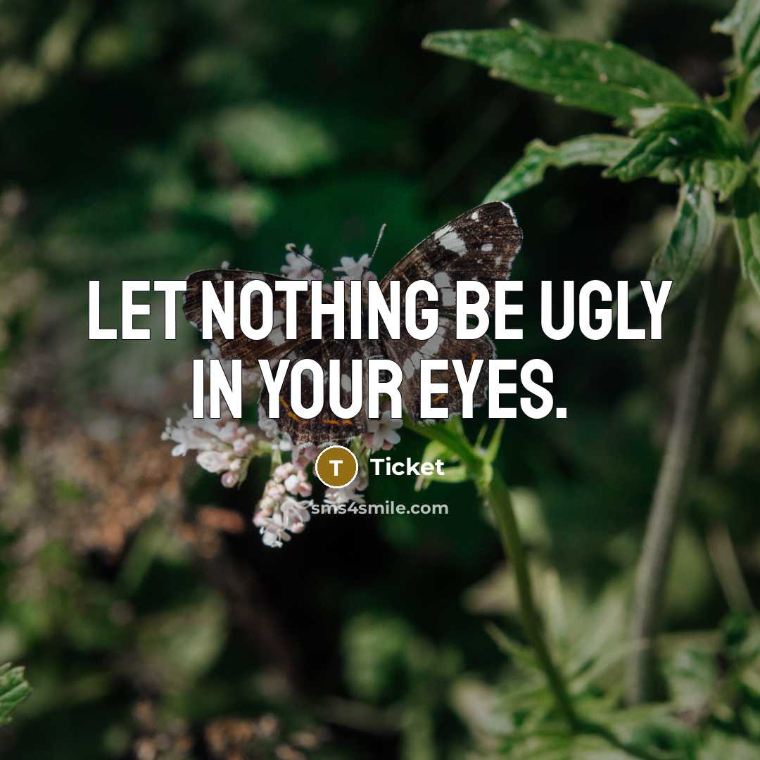 “Let nothing be ugly in your eyes.…” quote by Ticket