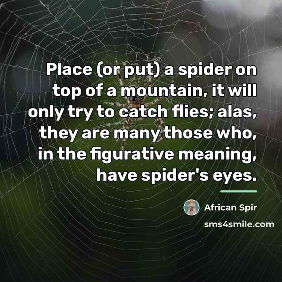 “Place (or put) a spider on top of a mountain,…” quote by African Spir