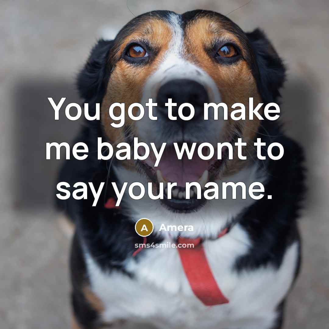 “You got to make me baby wont to say your…” quote by Amera