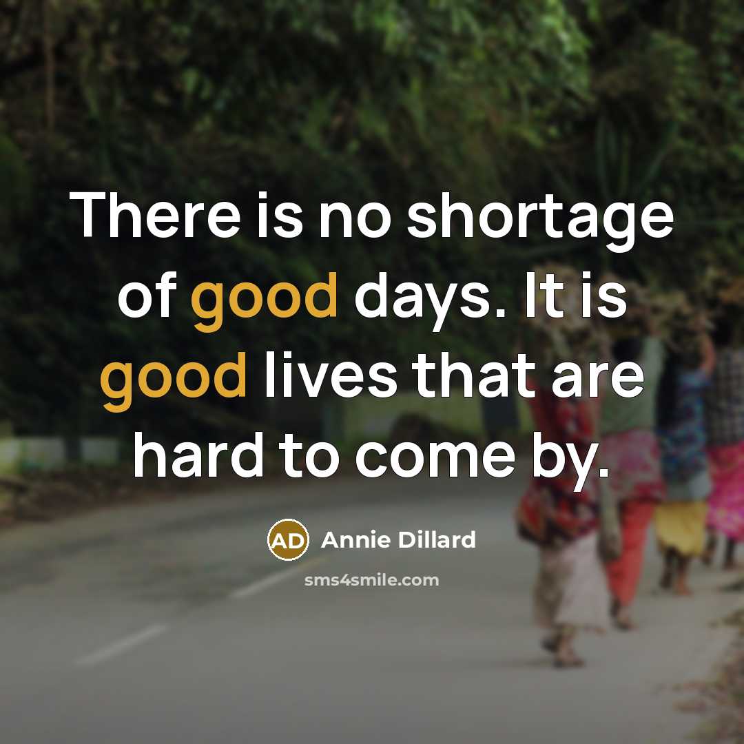 “There is no shortage of good days. It is good lives that are hard to come by.” quote by Annie Dillard