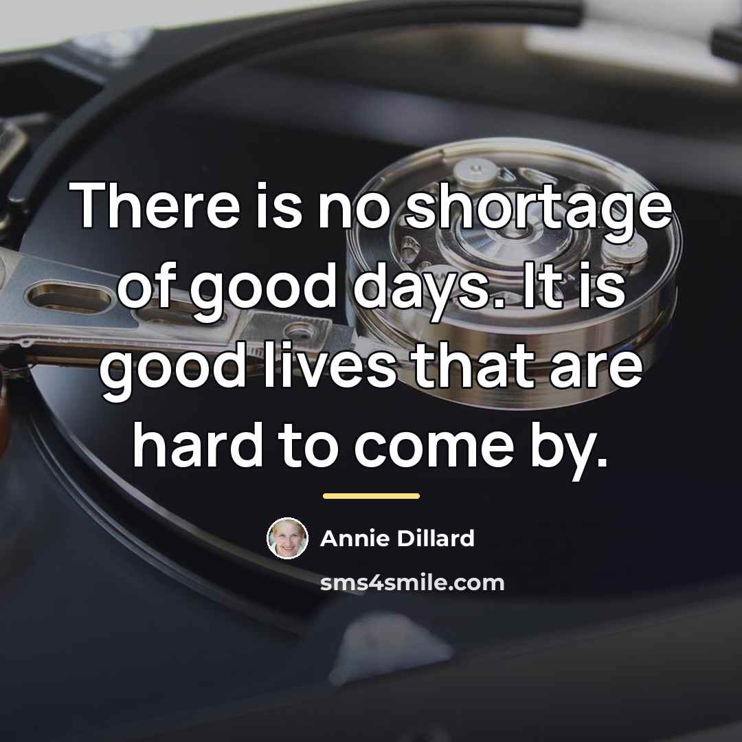 “There is no shortage of good days. It is good…” quote by Annie Dillard