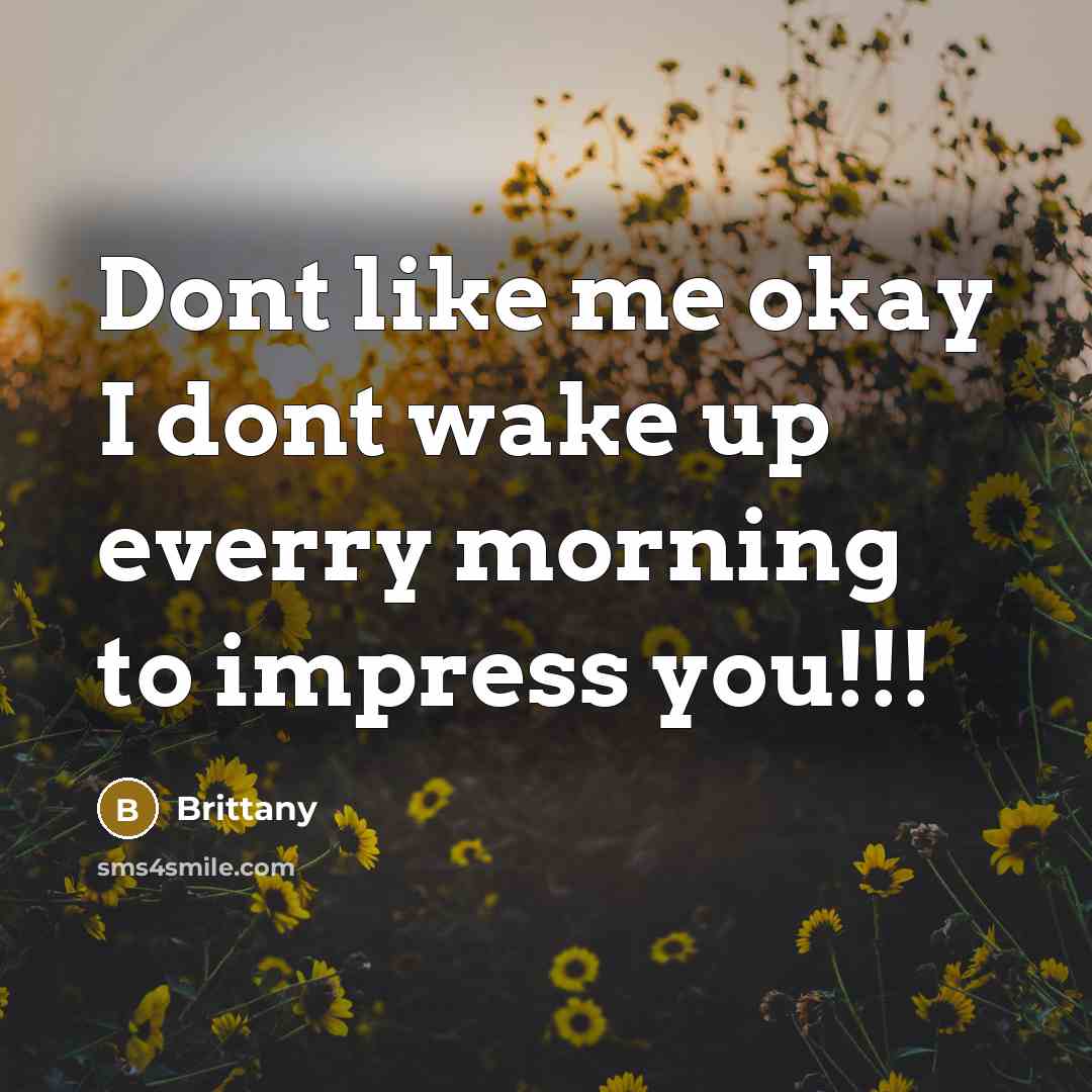 “Dont like me okay I dont wake up everry morning to impress you!!!” quote by Brittany