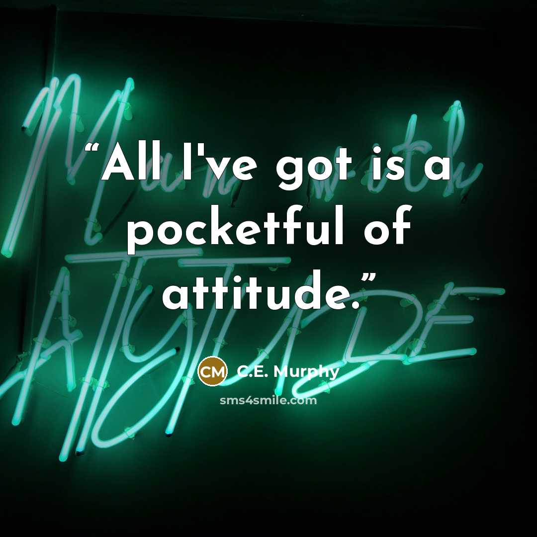 “All I've got is a pocketful of attitude.” quote by C.E. Murphy