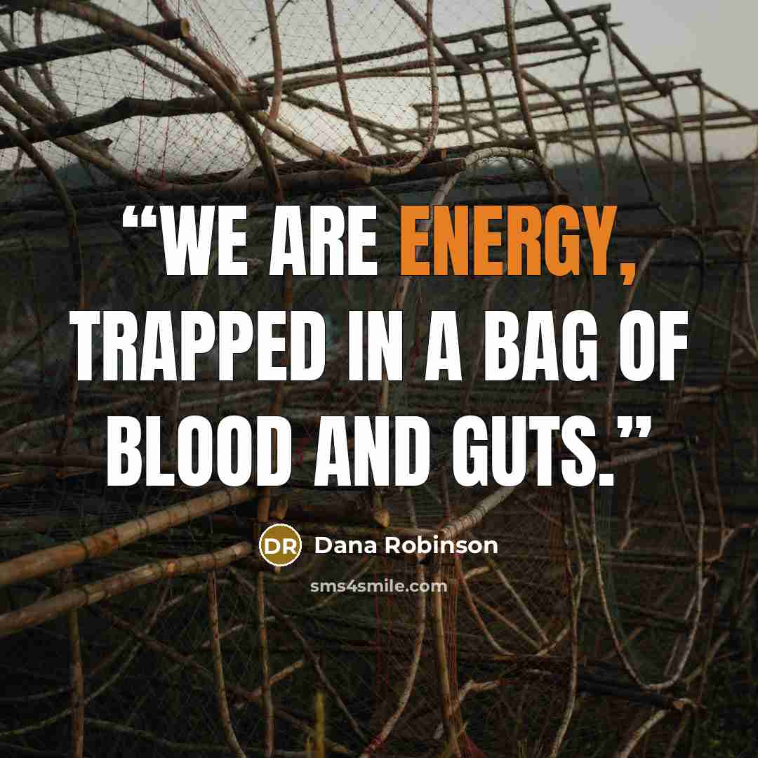 “We are Energy, trapped in a bag of blood and guts.” quote by Dana Robinson