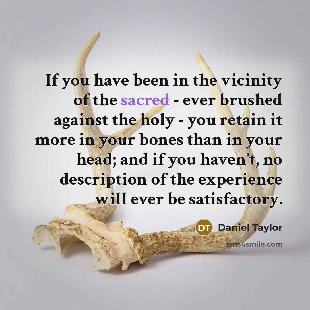 “If you have been in the vicinity of the sacred…” quote by Daniel Taylor