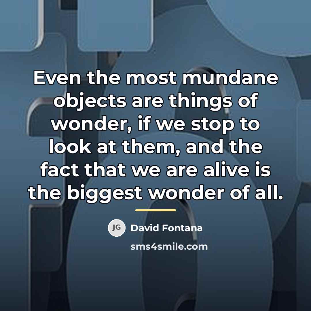 “Even the most mundane objects are things of wonder, if…” quote by David Fontana