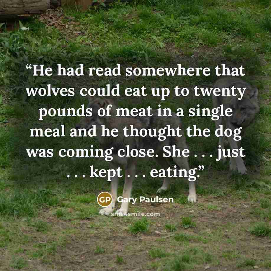 “He had read somewhere that wolves could eat up to twenty pounds of meat in a single meal and he thought the dog was coming close. She . . . just . . . kept . . . eating.” quote by Gary Paulsen