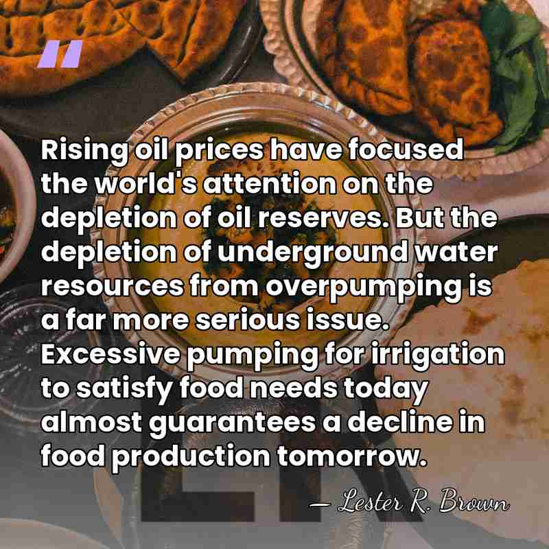 Rising oil prices have focused the world's attention on the depletion of&hellip; - Lester R. Brown