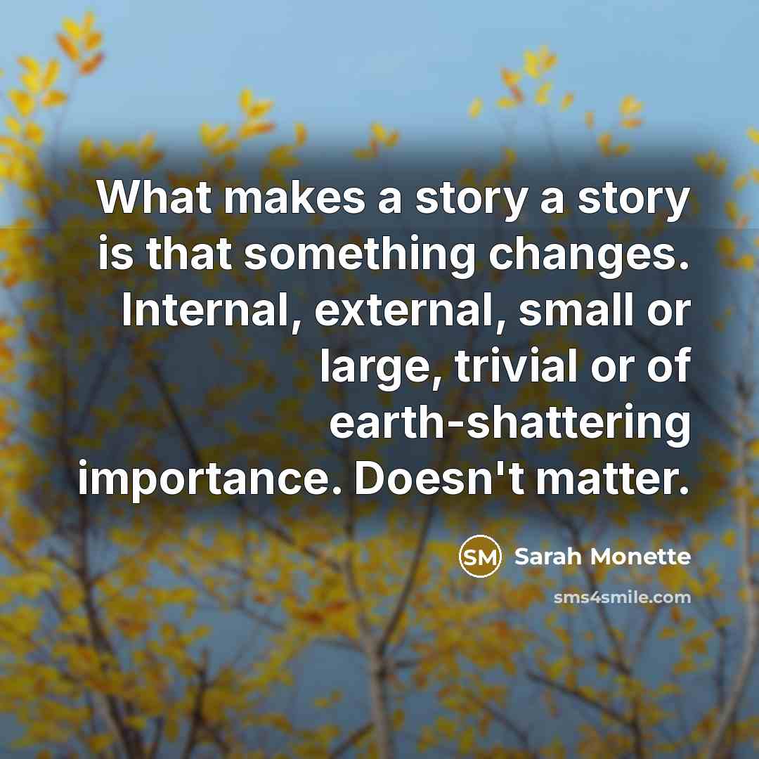 “What makes a story a story is that something changes.…” quote by Sarah Monette