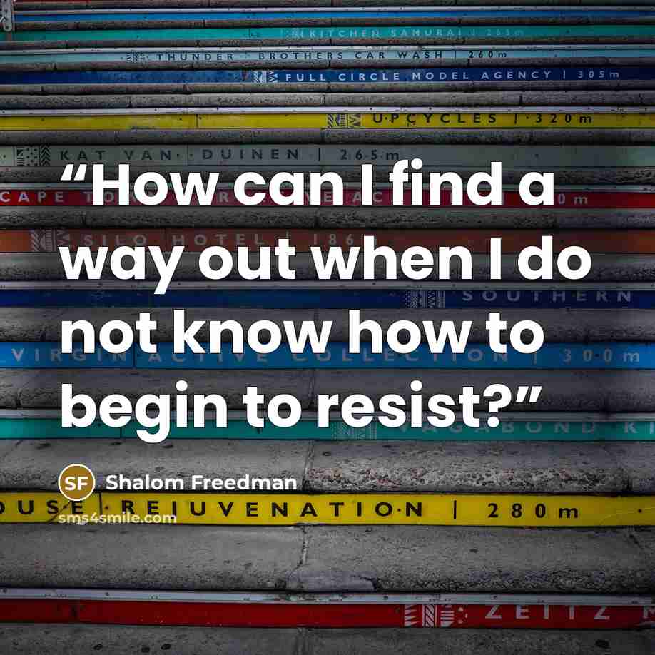 “How can I find a way out when I do not know how to begin to resist?” quote by Shalom Freedman