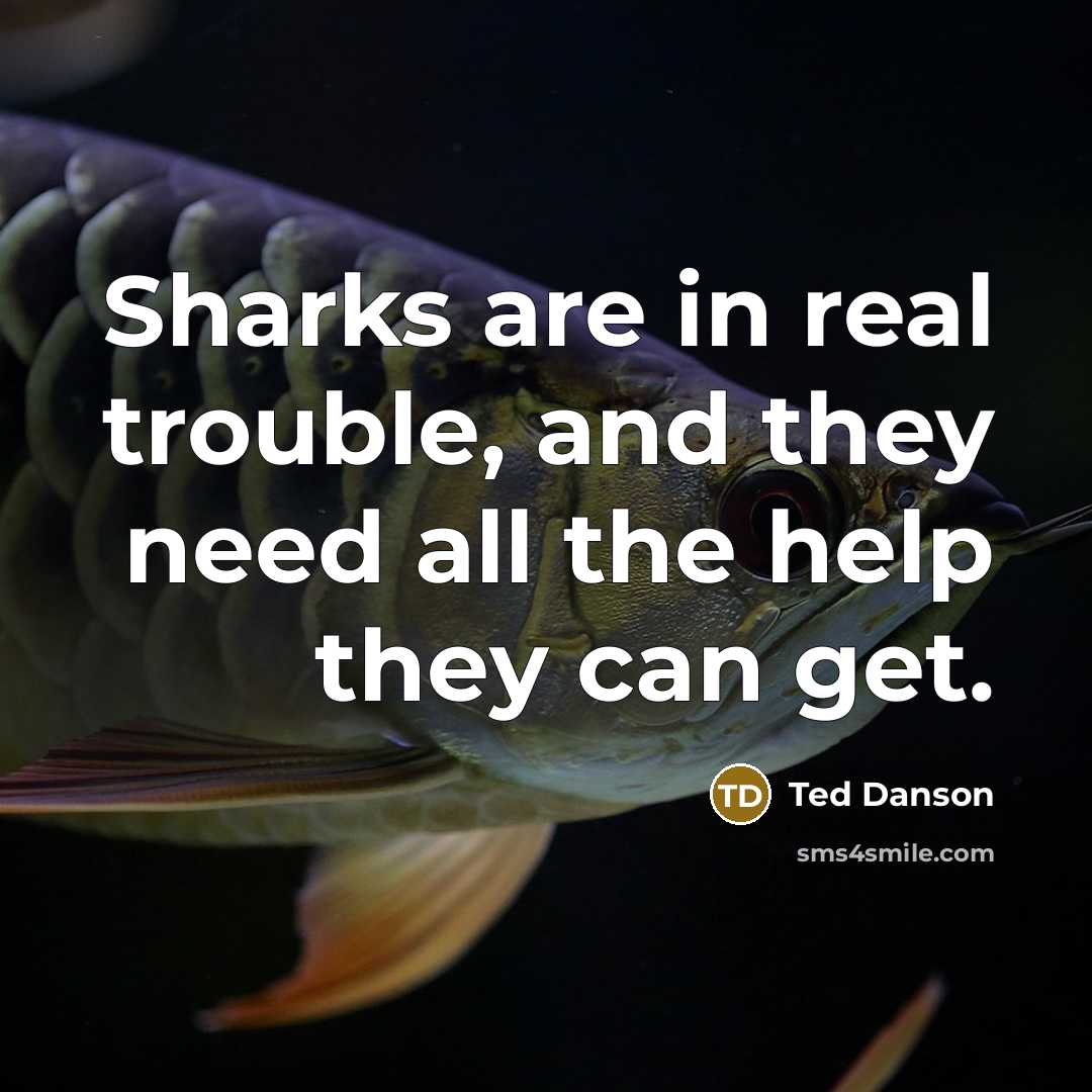 “Sharks are in real trouble, and they need all the help they can get.” quote by Ted Danson