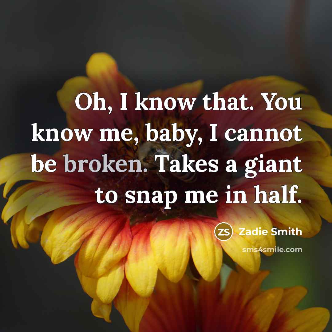 “Oh, I know that. You know me, baby, I cannot…” quote by Zadie Smith