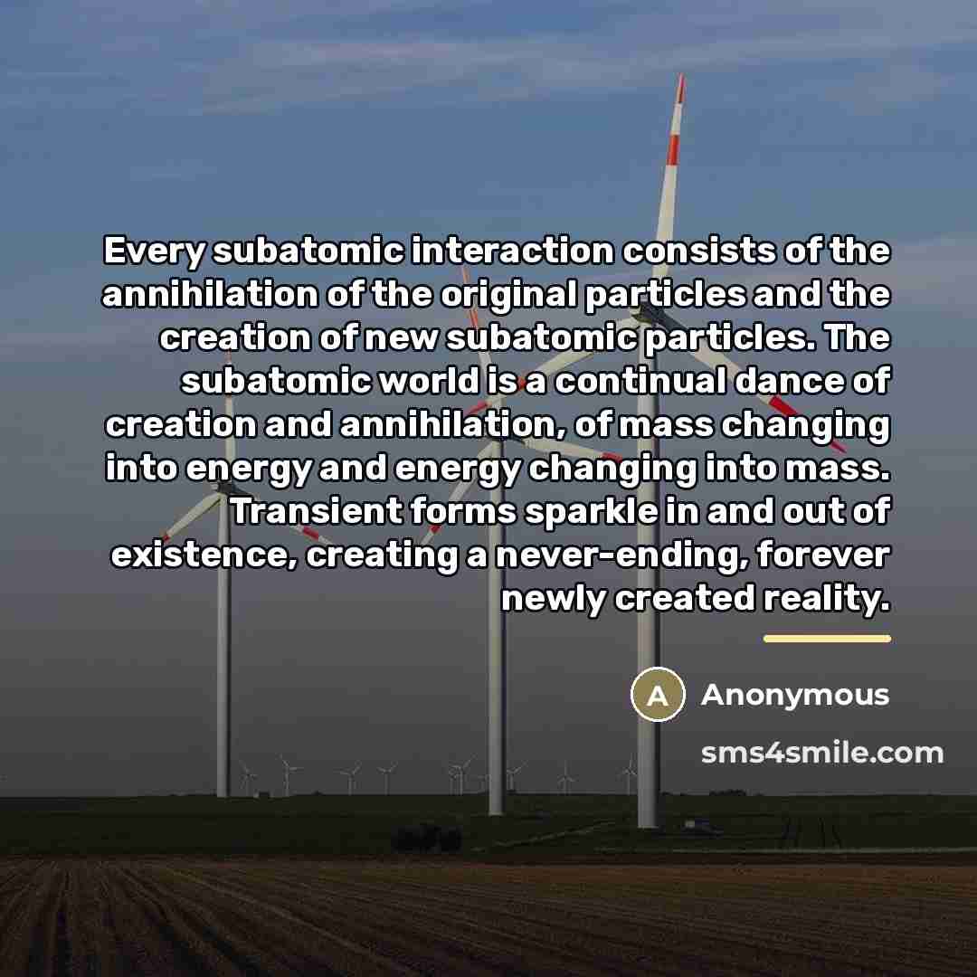 “Every subatomic interaction consists of the annihilation of the original…” quote by Anonymous
