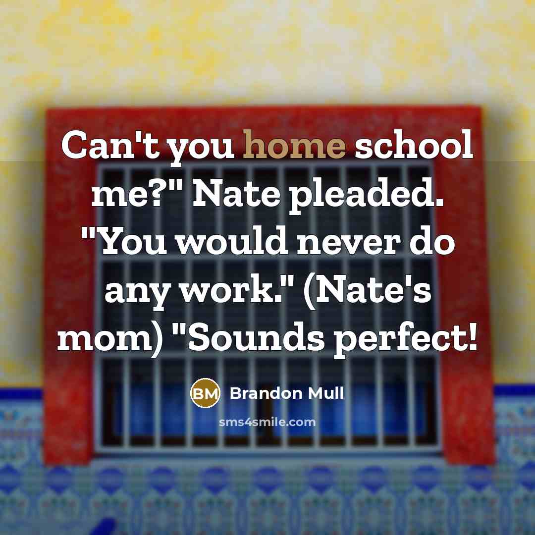 “Can't you home school me?" Nate pleaded. "You would never…” quote by Brandon Mull