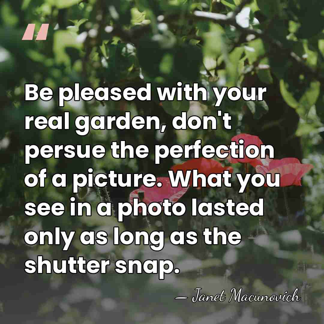 Be pleased with your real garden, don't persue the perfection of a&hellip; - Janet Macunovich