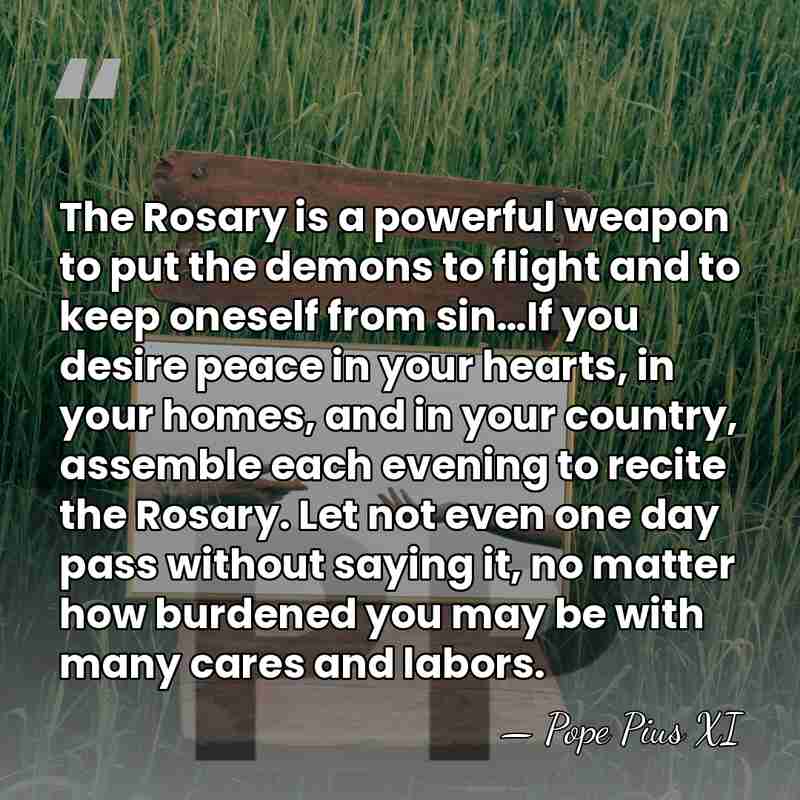The Rosary is a powerful weapon to put the demons to flight&hellip; - Pope Pius XI