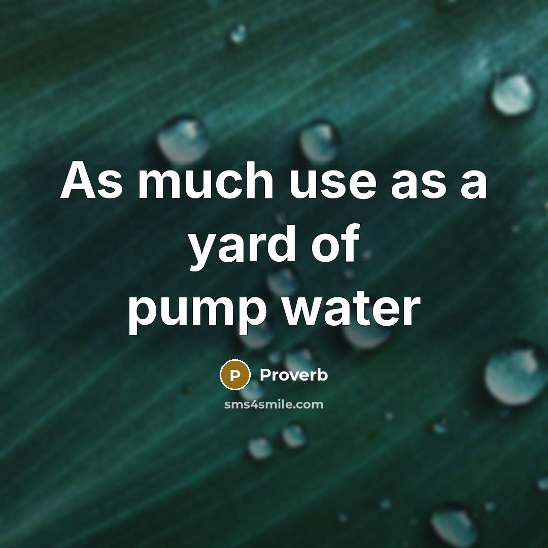 “As much use as a yard of pump water…” quote by Proverb