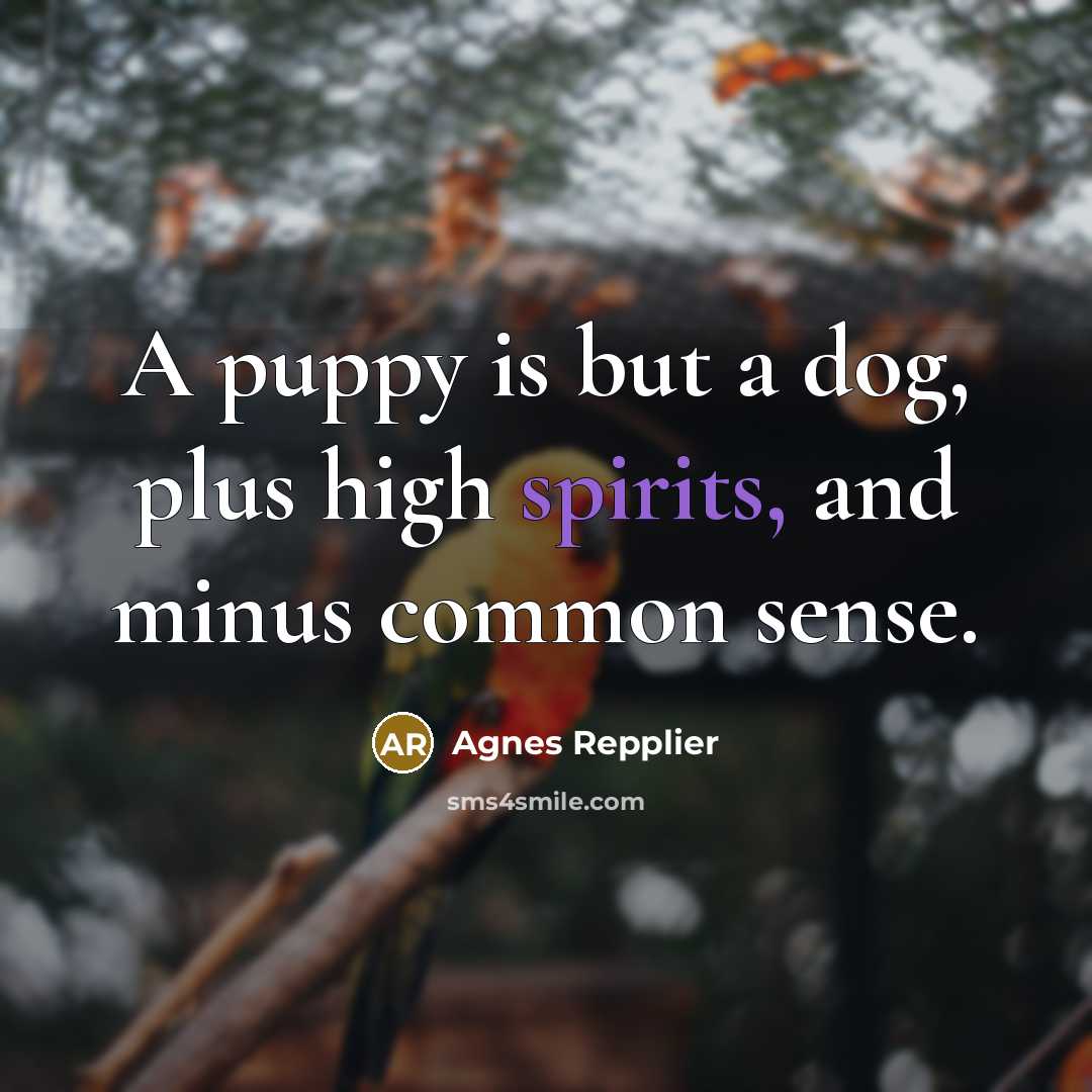 “A puppy is but a dog, plus high spirits, and minus common sense.” quote by Agnes Repplier