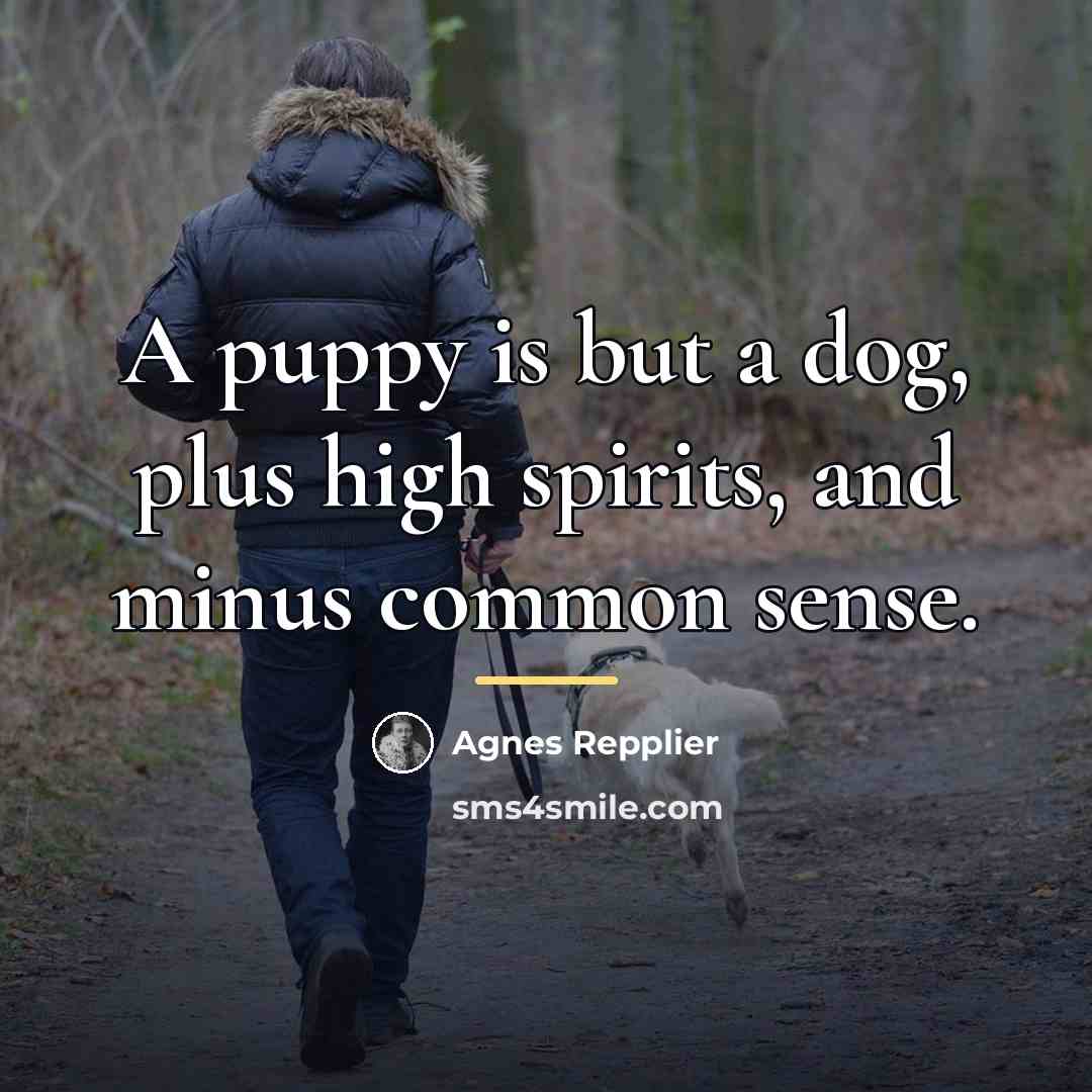 “A puppy is but a dog, plus high spirits, and…” quote by Agnes Repplier