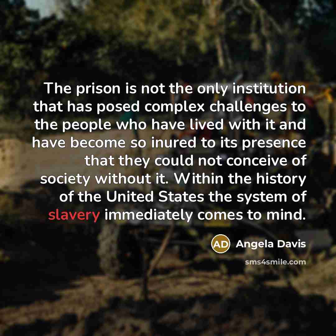 “The prison is not the only institution that has posed…” quote by Angela Davis
