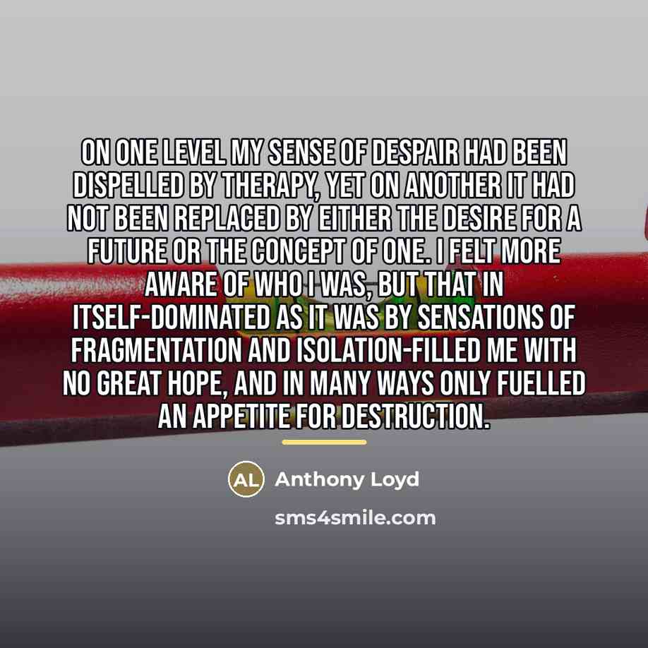 “On one level my sense of despair had been dispelled…” quote by Anthony Loyd