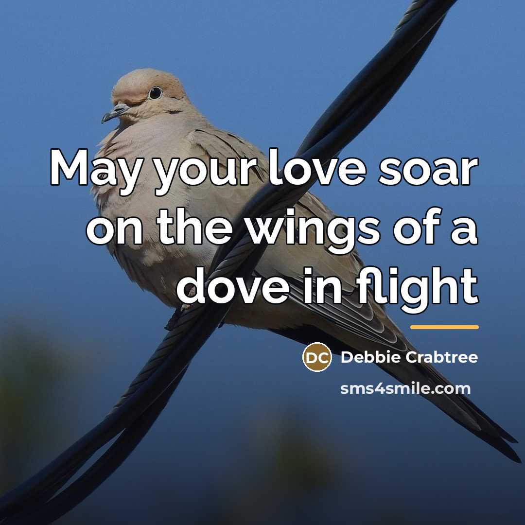 “May your love soar on the wings of a dove…” quote by Debbie Crabtree