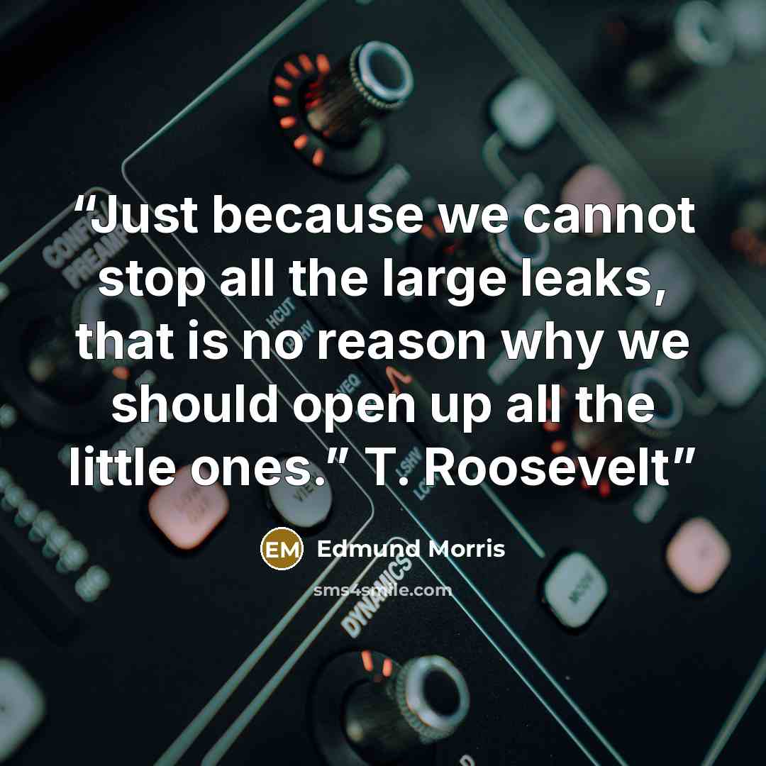 “Just because we cannot stop all the large leaks, that is no reason why we should open up all the little ones.” T. Roosevelt” quote by Edmund Morris