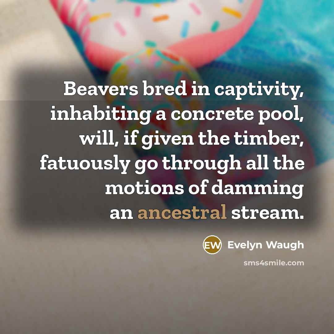 “Beavers bred in captivity, inhabiting a concrete pool, will, if…” quote by Evelyn Waugh