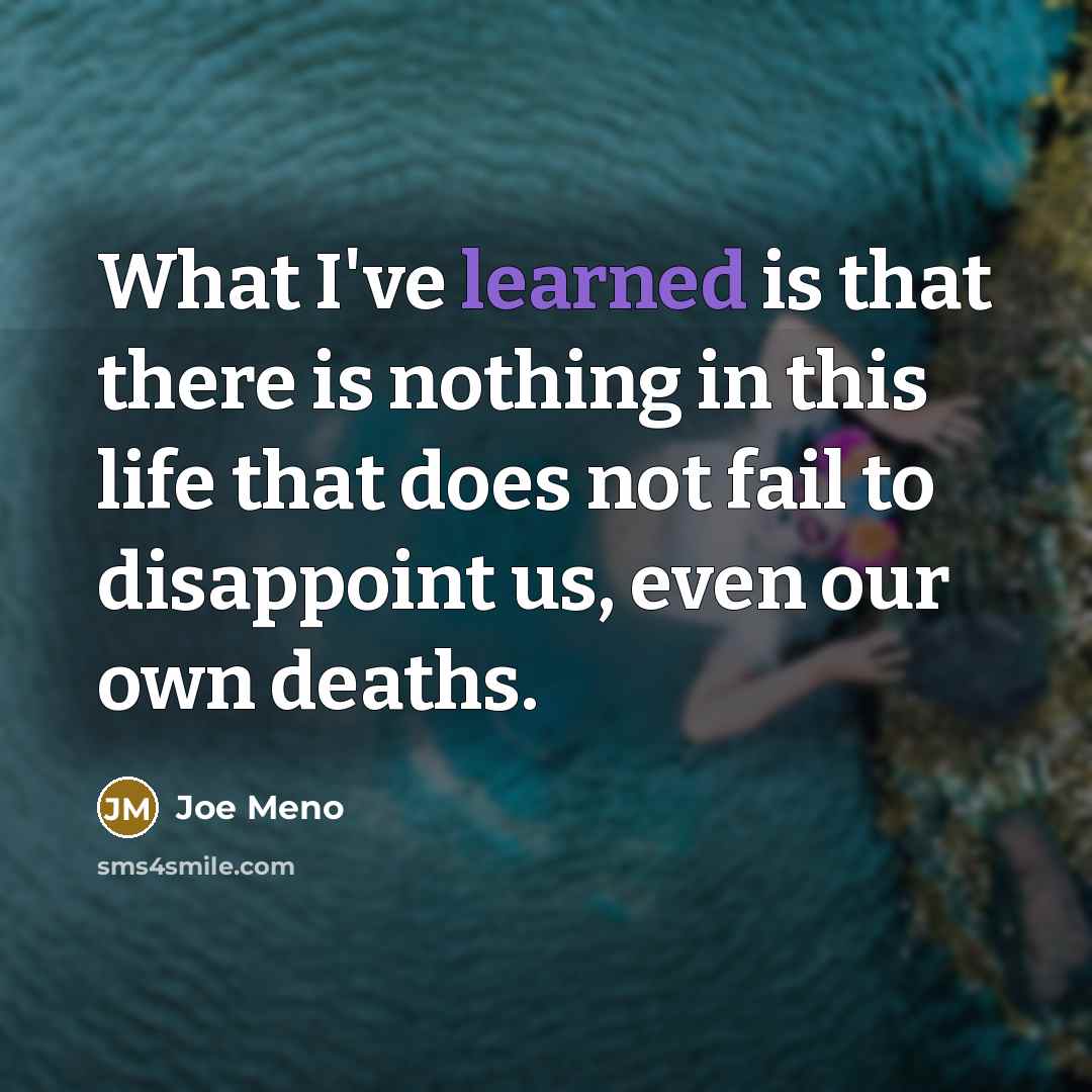 “What I've learned is that there is nothing in this…” quote by Joe Meno