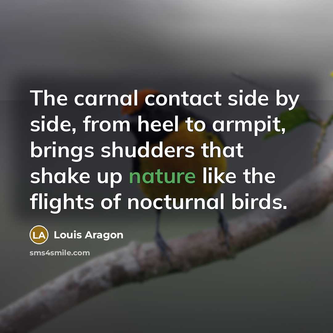 “The carnal contact side by side, from heel to armpit,…” quote by Louis Aragon
