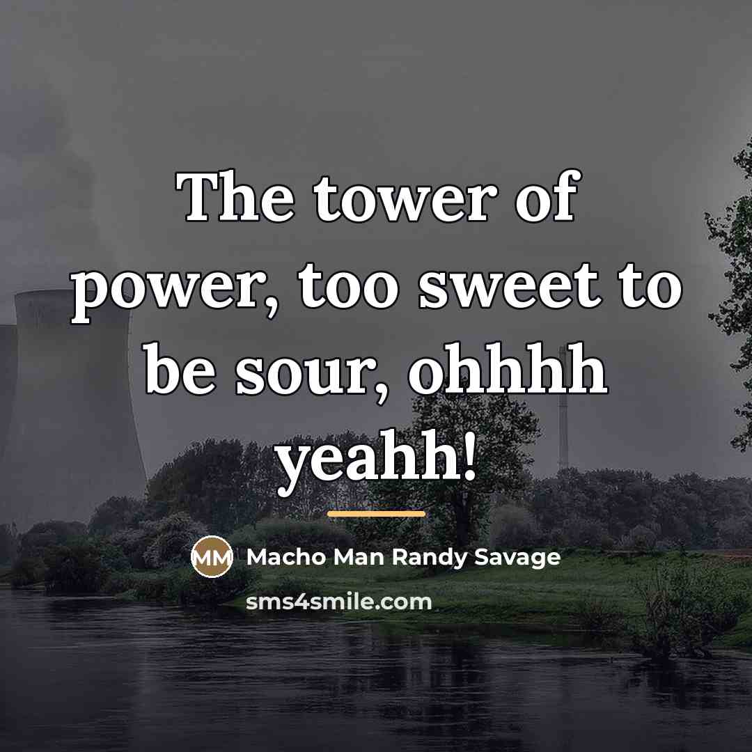 “The tower of power, too sweet to be sour, ohhhh…” quote by Macho Man Randy Savage